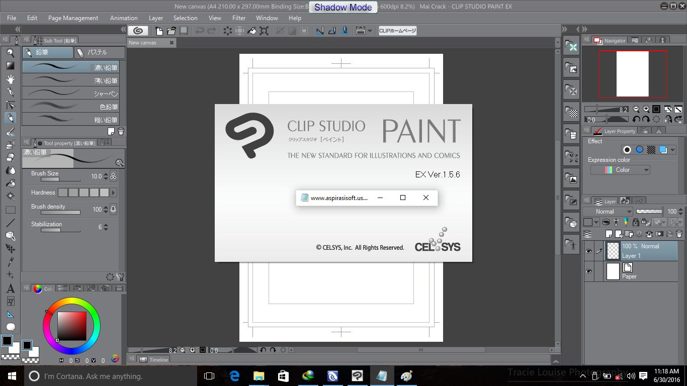 clip studio paint on linux