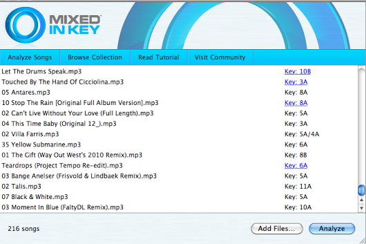 mixed in key 8.1 torrent